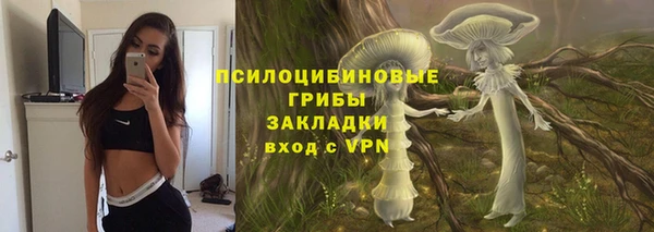 гидра Володарск