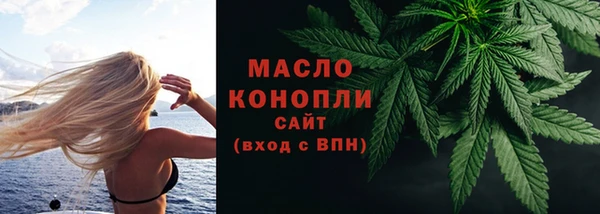 гидра Володарск