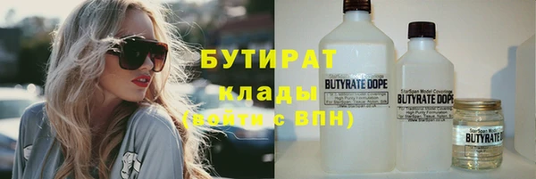 гидра Володарск