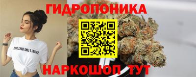 СК Краснодар