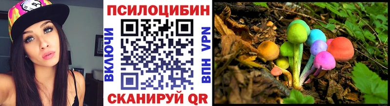 дарк нет состав  Сызрань  Псилоцибиновые грибы Psilocybine cubensis 