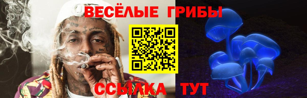 Сызрань  Галлюциногенные грибы Psilocybine cubensis  Вход с VPN  Псилоцибиновые грибы Magic Shrooms 